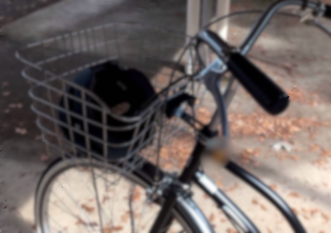 R70516 自転車ヘルメット